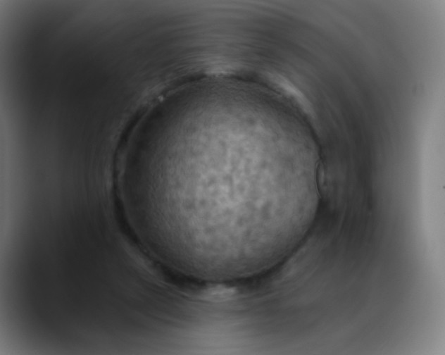 X0000089720257200707121436