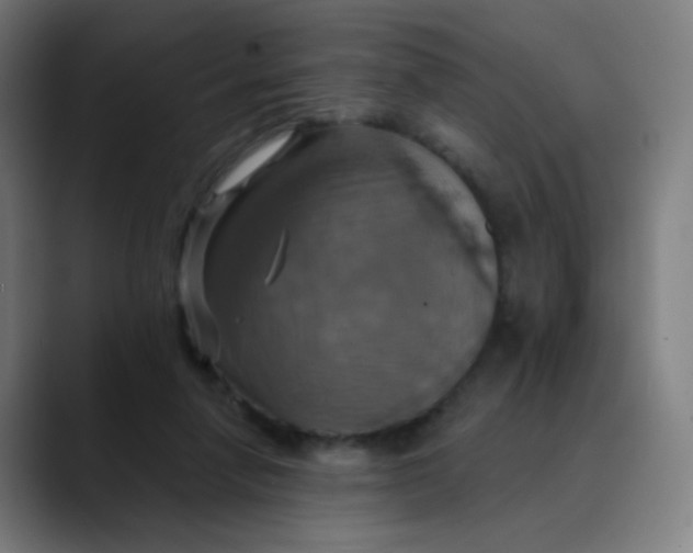 X0000089720258200707121436