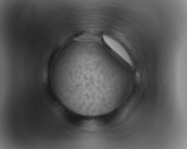 X0000089720259200707121436