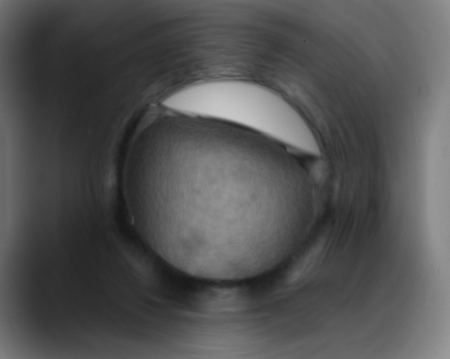 X0000089720260200707121436