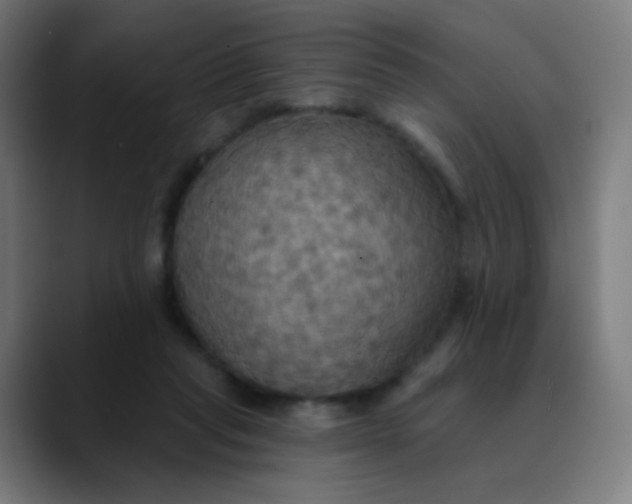 X0000089720261200707121436