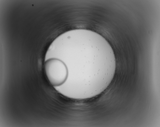 X0000089720262200707121436