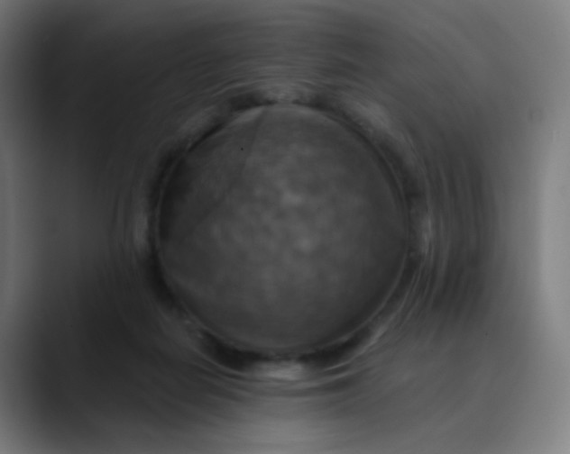 X0000089720266200707121436