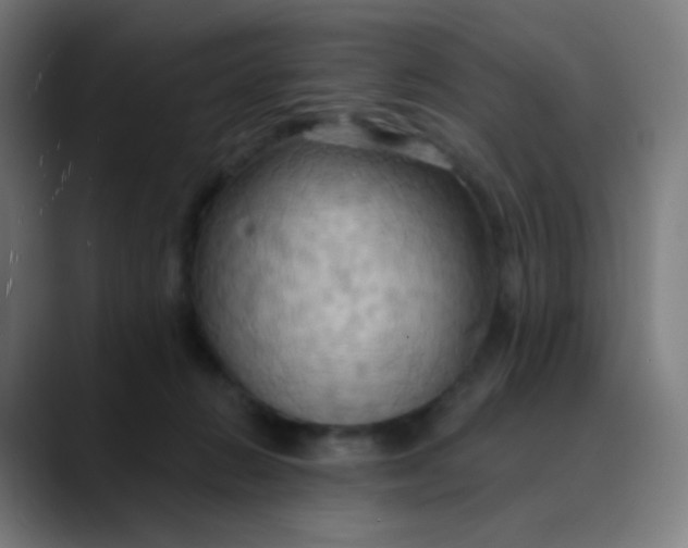 X0000089720270200707121436