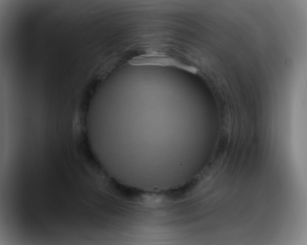 X0000089720272200707121436