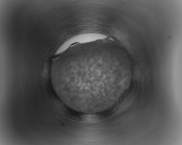 X0000089720273200707121436