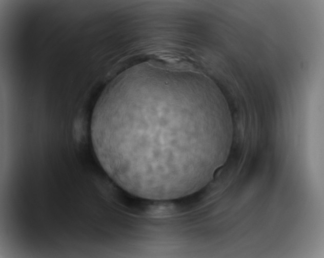 X0000089720274200707121436