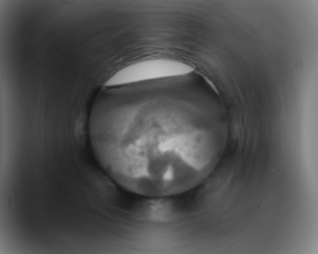 X0000089720275200707121436