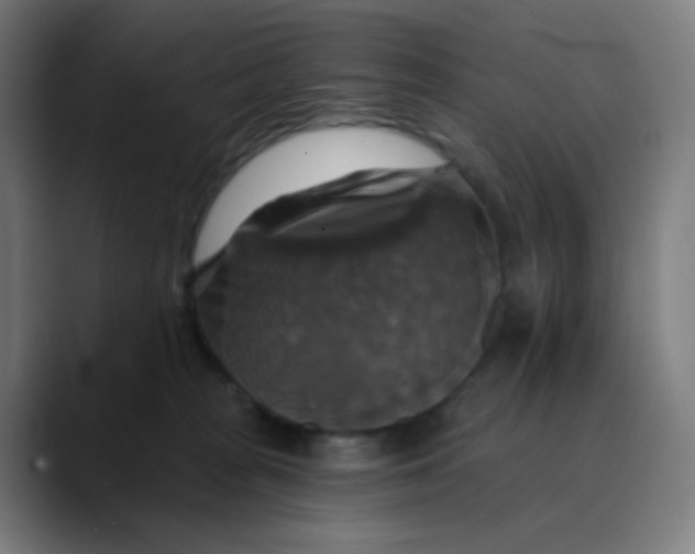 X0000089720277200707121436