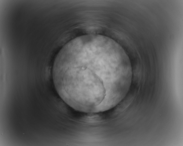 X0000089720278200707121436