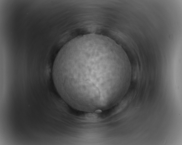 X0000089720279200707121436