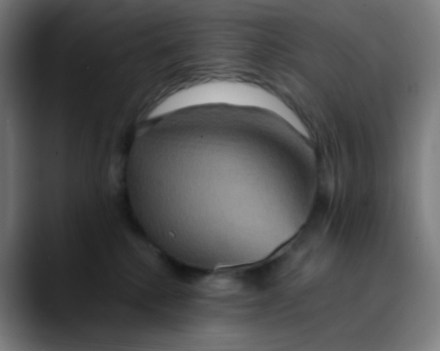 X0000089720280200707121436