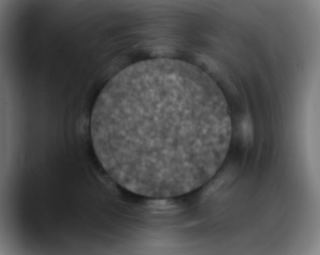 X0000089720281200707121436