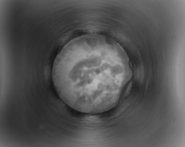 X0000089720283200707121436