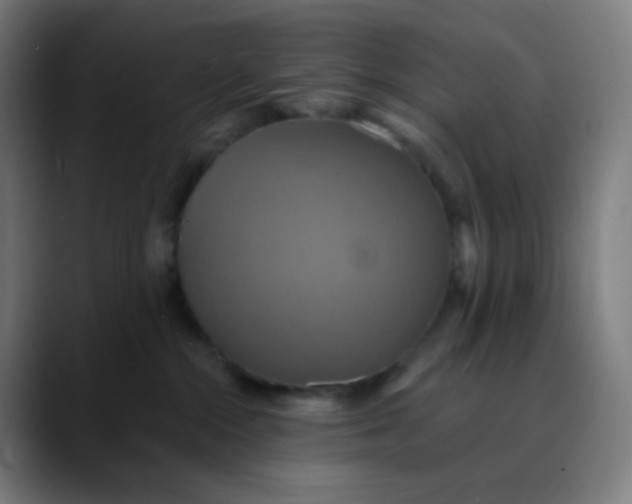 X0000089720284200707121436