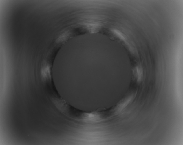 X0000089720286200707121436