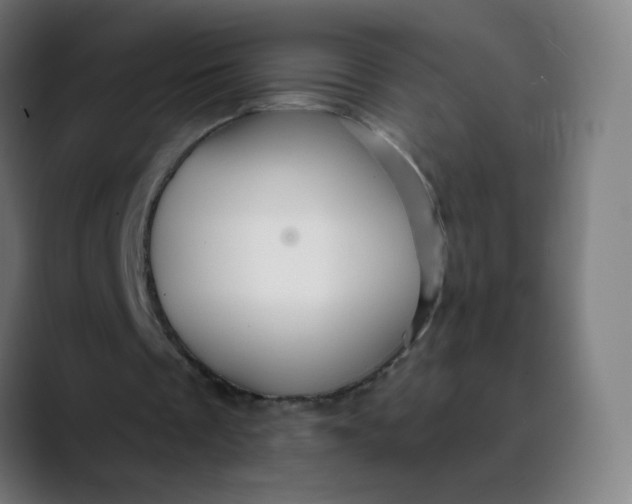 X0000089720289200707121436