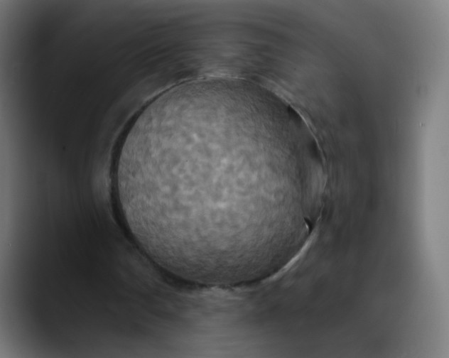 X0000089720290200707121436