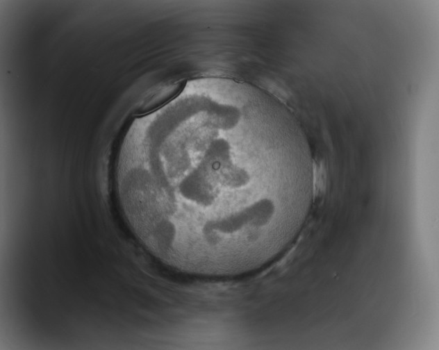 X0000089720291200707121436