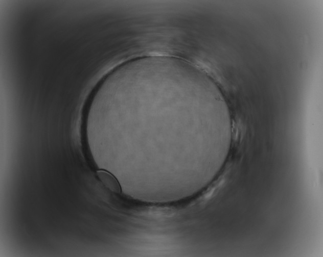 X0000089720292200707121436