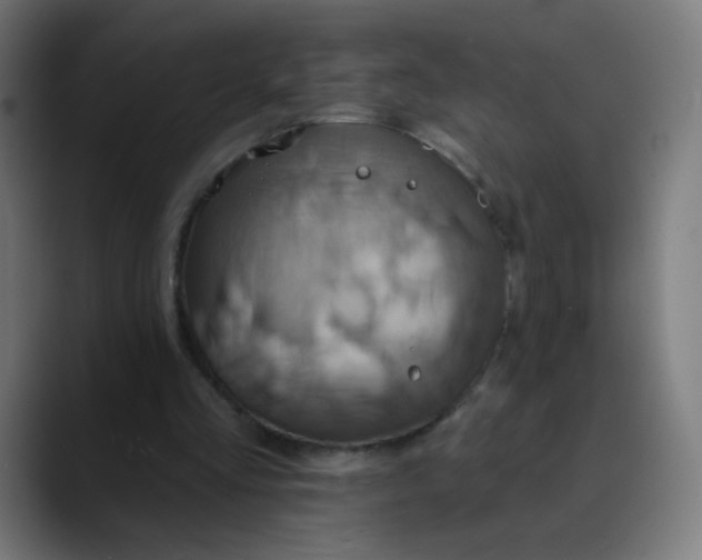 X0000089720293200707121436