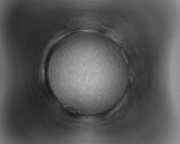 X0000089720294200707121436