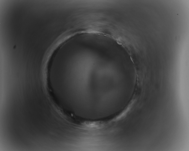 X0000089720295200707121436