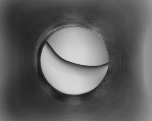 X0000089720296200707121436