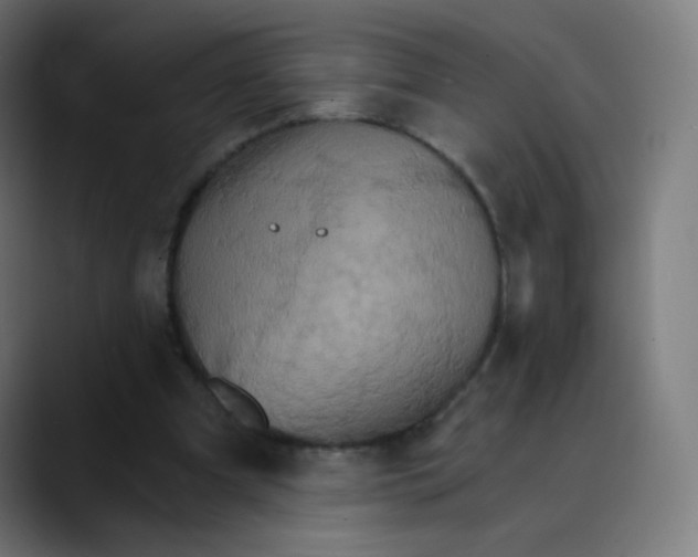 X0000089720297200707121436