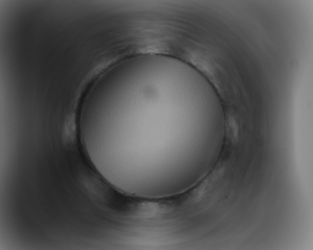 X0000089720298200707121436