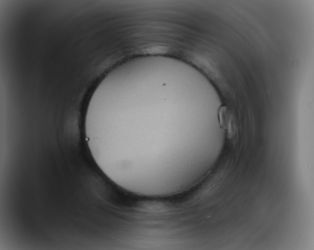 X0000089720300200707121436