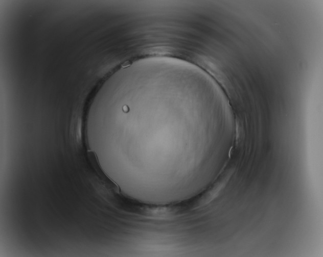 X0000089720301200707121436