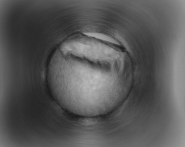 X0000089720305200707121436