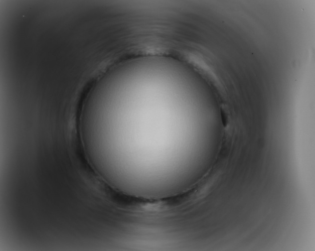 X0000089720306200707121436