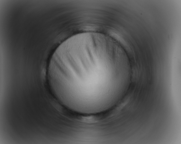 X0000089720309200707121436