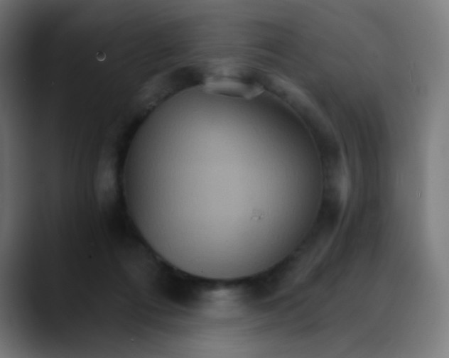 X0000089720312200707121436