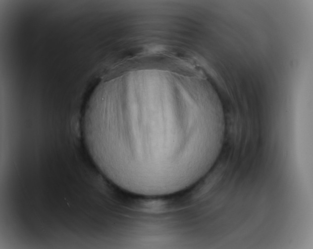 X0000089720313200707121435