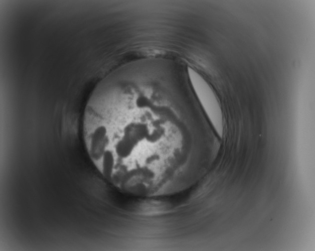 X0000089720315200707121435