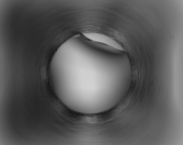 X0000089720317200707121435