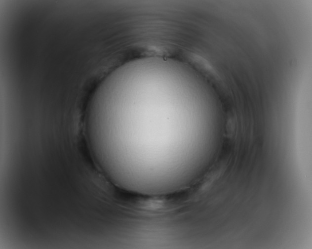 X0000089720318200707121435