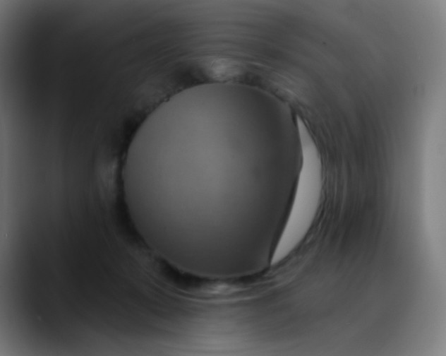 X0000089720319200707121435