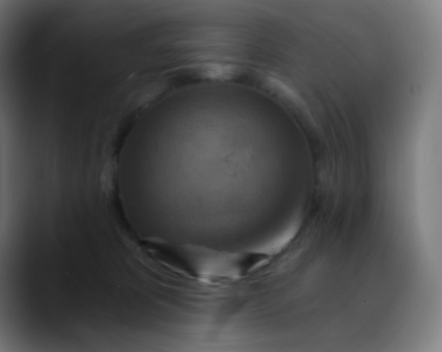 X0000089720325200707121435