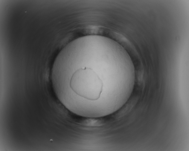 X0000089720326200707121435