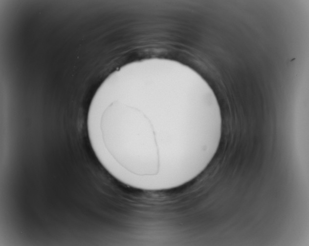 X0000089720328200707121435