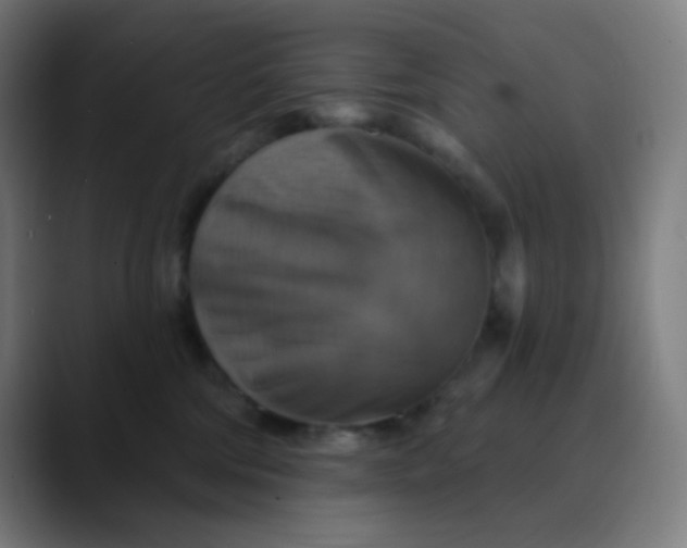 X0000089720330200707121435