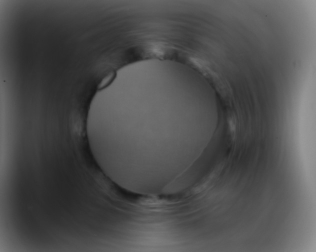 X0000089720331200707121435