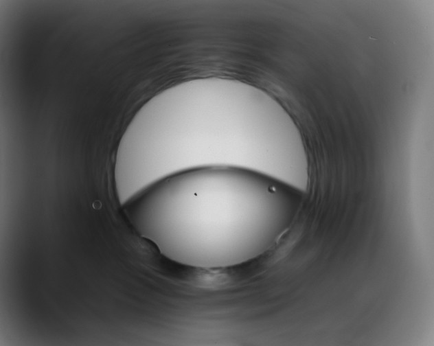 X0000089720333200707121435