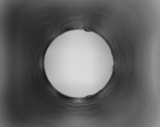 X0000089720335200707121435