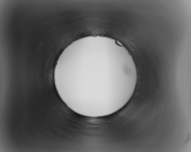 X0000089720336200707121435