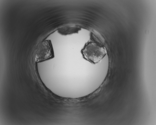 X0000089720337200707121435